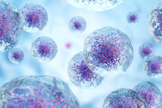 Personal Health Care Stem Cells under microscope