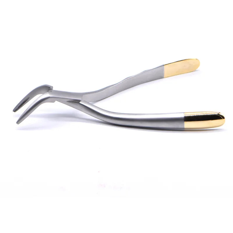 Dentistry Supplies & Equipment Best Dental Forceps for Upper and Lower Teeth: Safe Tooth Extraction Tools Picture of Universal Root Forceps offers