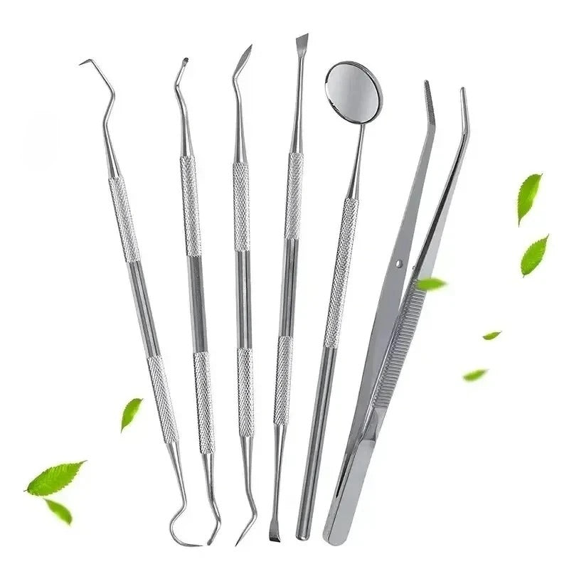 Dentistry Supplies & Equipment Double heads Cleaning tools (6 pieces) (as shown in the picture)