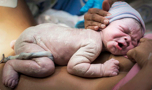 Free Picture of a newborn on his mother chest - Blog: Skin-to-skin contact with the baby