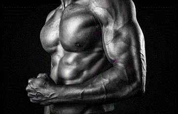 Free Picture of a muscles man - Blog: How to naturally increase testosterone levels in a man.