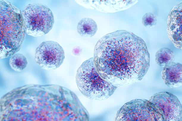 How to boost the production of stem cells