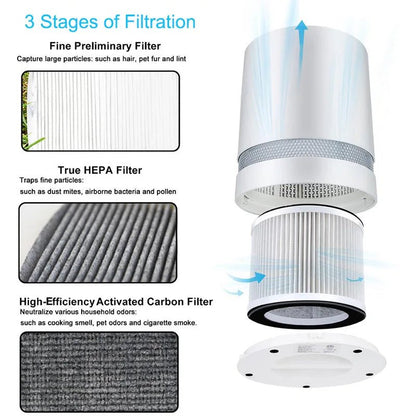 Wellness Air Purifier Filters Desktop for home or car (No HEPA Filters)