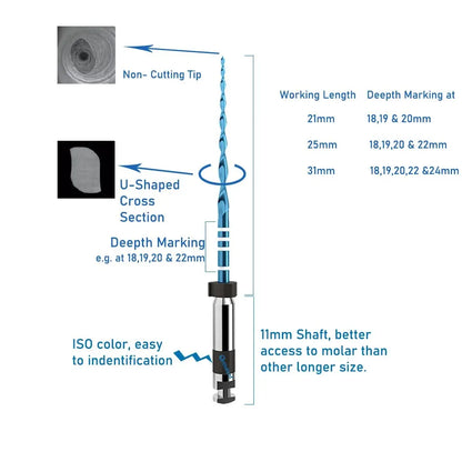Ortho dental Reciprocating Blue Endodontic Files 21/25/31mm  (6Pcs/Box)