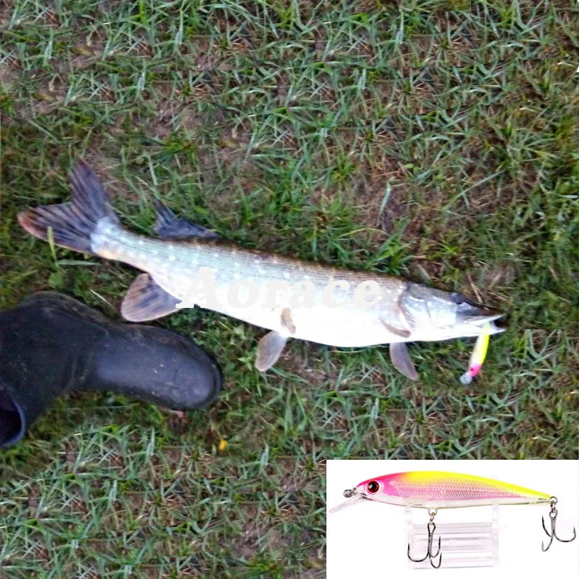 Japanese Laser Minnow Fishing Lure (9 cm, 7.5 g/ 11 cm, 13 g)