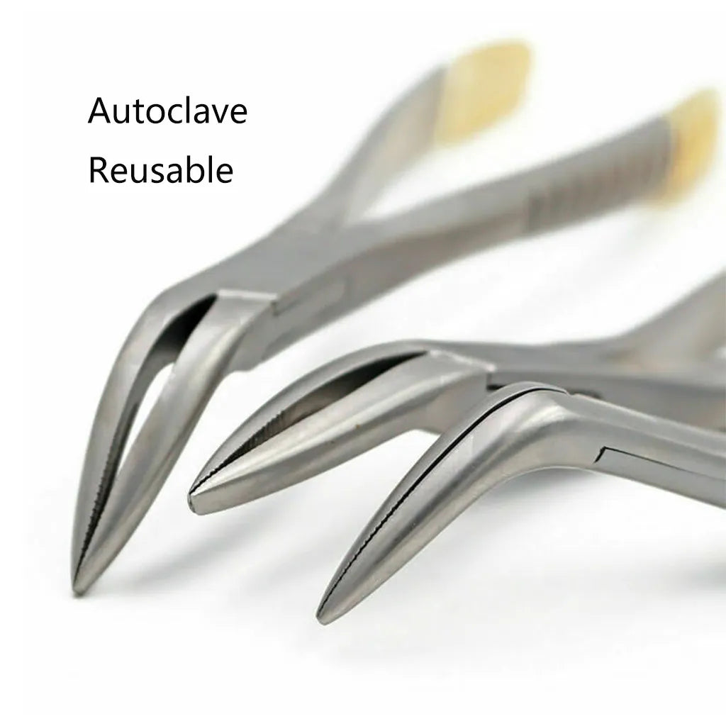 Dentistry Supplies & Equipment Best Dental Forceps for Upper and Lower Teeth: Safe Tooth Extraction Tools Picture of Upper Root Forceps, Universal Forceps and Lower Root Forceps Autoclave Reusable
