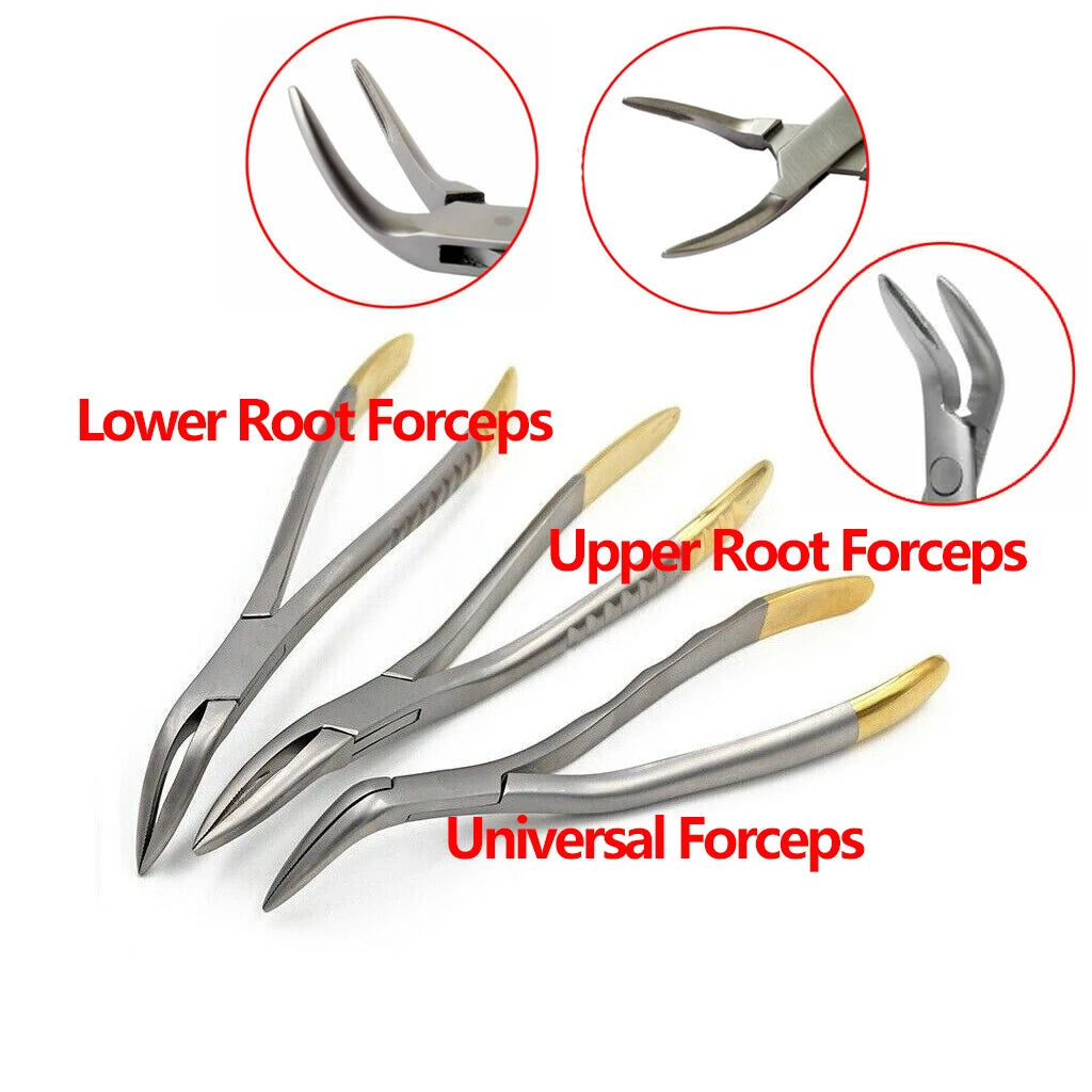 Dentistry Supplies & Equipment Best Dental Forceps for Upper and Lower Teeth: Safe Tooth Extraction Tools Picture of Upper Root Forceps, Universal Forceps and Lower Root Forceps