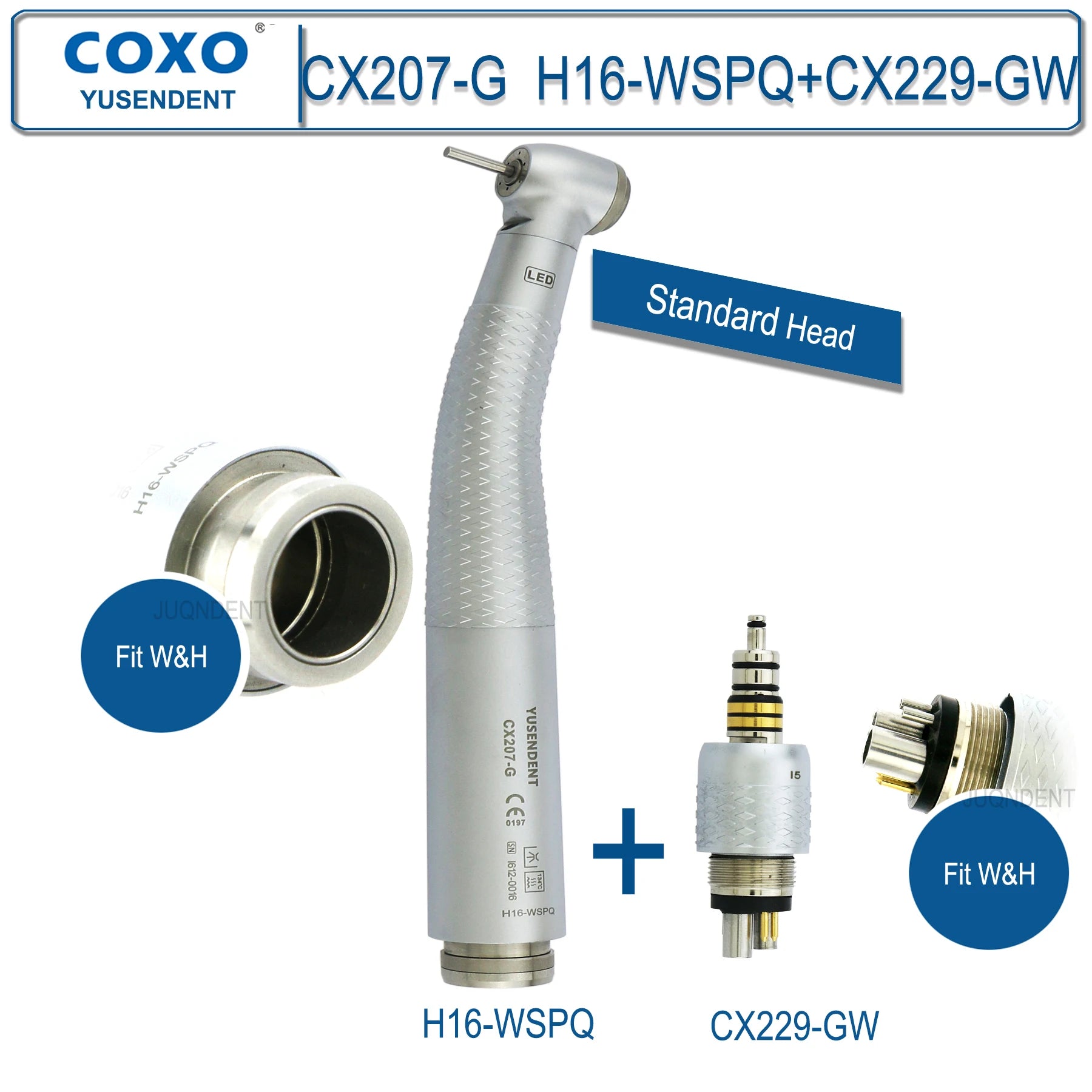 Dentistry Supplies & Equipment Hand piece High Speed CX207-G Fibre (Handpiece H16-WSPQ Fit W&H + CX229-GW Fit W&H Picture)