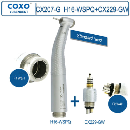 Dentistry Supplies & Equipment Hand piece High Speed CX207-G Fibre (Handpiece H16-WSPQ Fit W&H + CX229-GW Fit W&H Picture)
