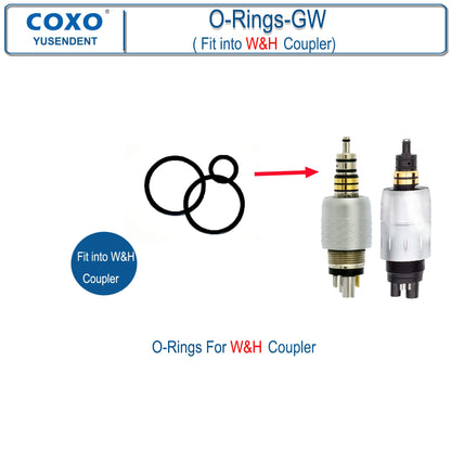 Dentistry Supplies & Equipment Hand piece High Speed CX207-G Fibre (3 O-Rings-GW kit Picture Fit into W&H Coupler Picture) 
