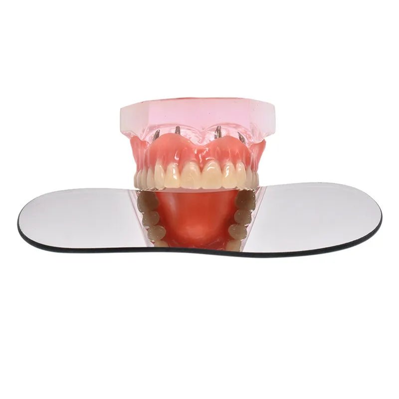 Dentistry Supplies & Equipment Orthodontic Photo Double-Sided Mirrors (1 mirror use on a dummy picture)