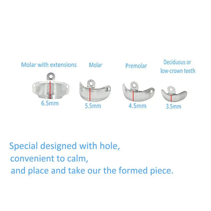 Dentistry Supplies Equipment Sectional Matrix System Resin Clamping Sizes to use for each kind of tooth Picture
