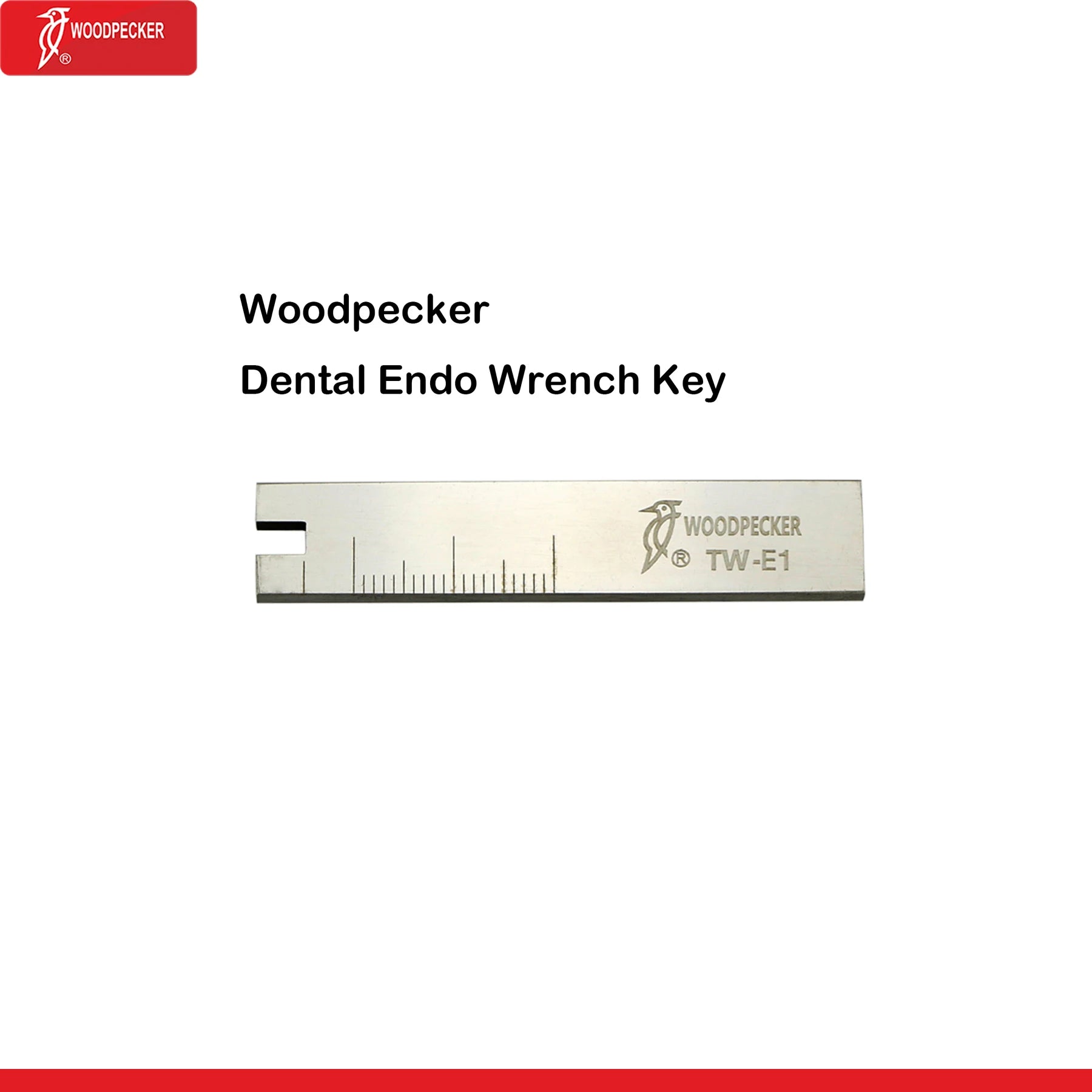 Dentistry Supplies & Equipment Ultrasonic Scaler (HW-5L/ DTE HD-7L)