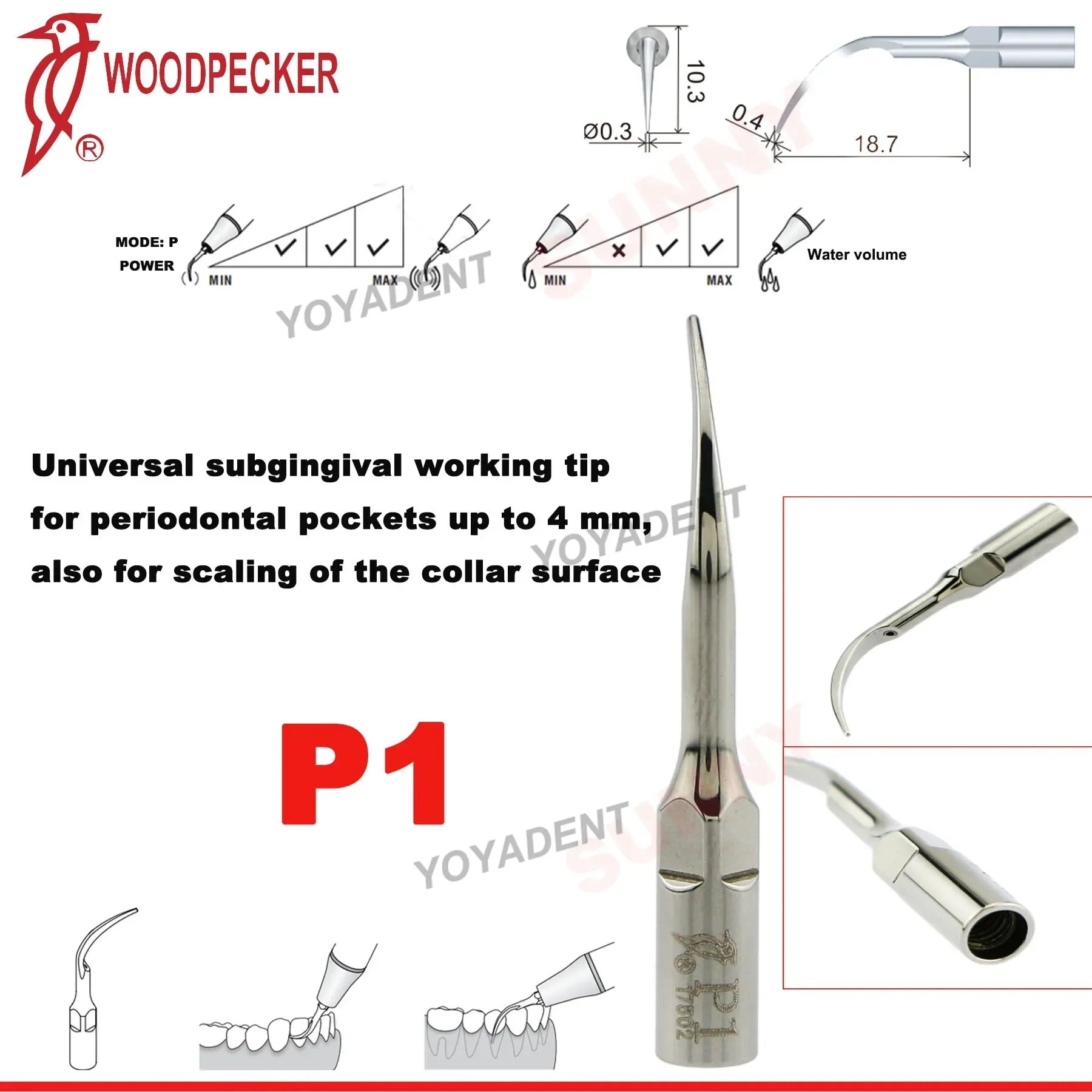 Dentistry Supplies & Equipment Woodpecker DTE Ultrasonic Piezo Scaler P1