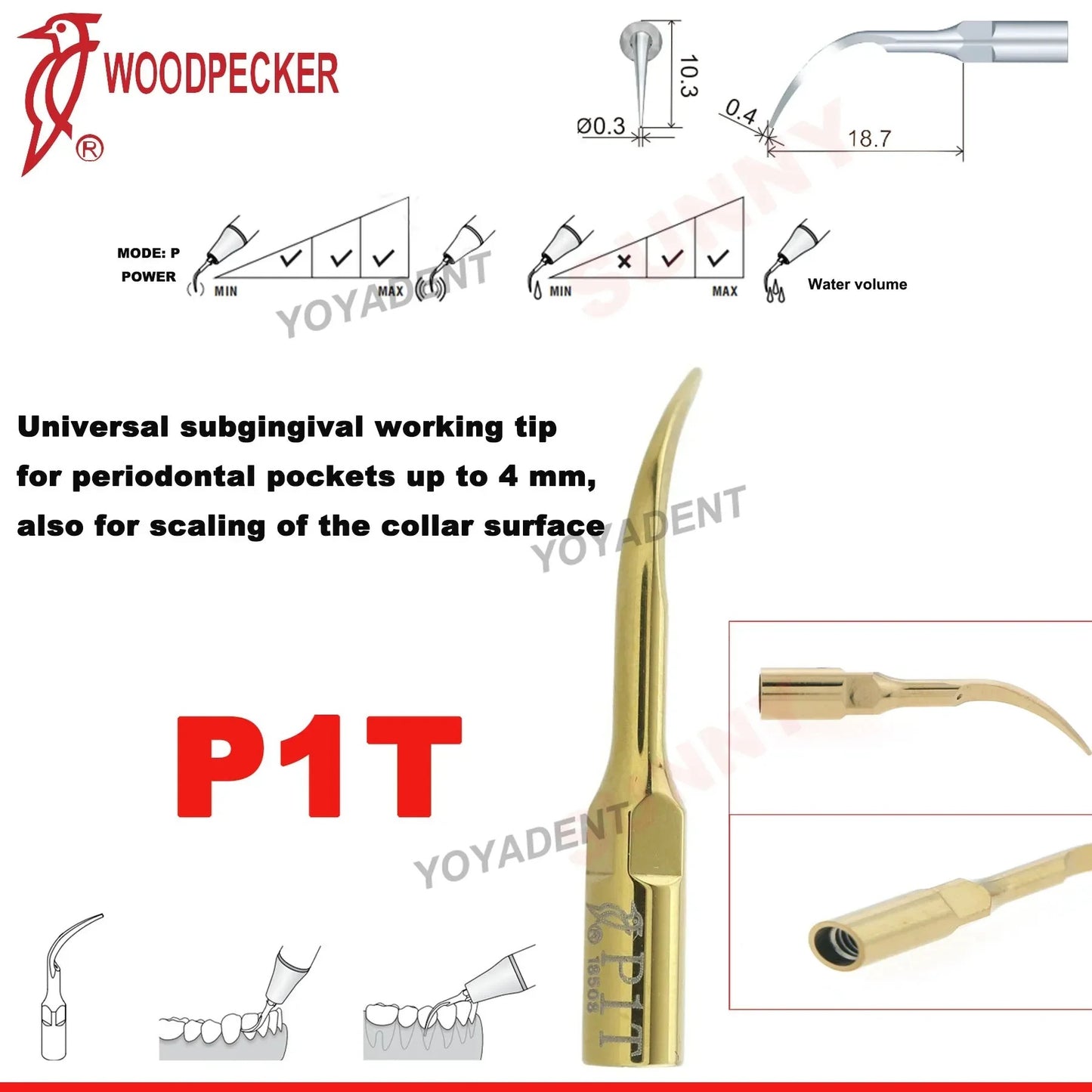 Dentistry Supplies & Equipment Woodpecker DTE Ultrasonic Piezo Scaler P1T