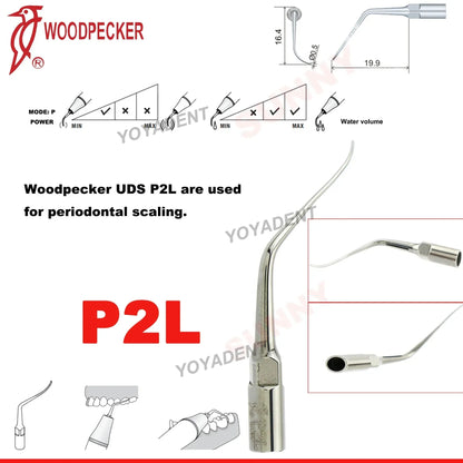 Dentistry Supplies & Equipment Woodpecker DTE Ultrasonic Piezo Scaler P2L