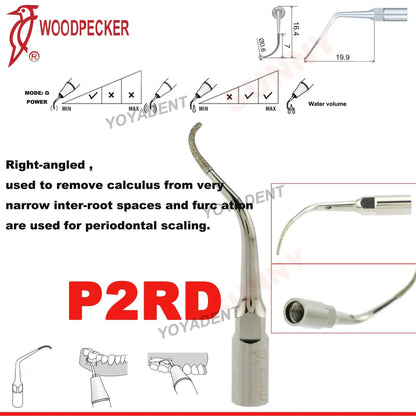 Dentistry Supplies & Equipment Woodpecker DTE Ultrasonic Piezo Scaler P2RD