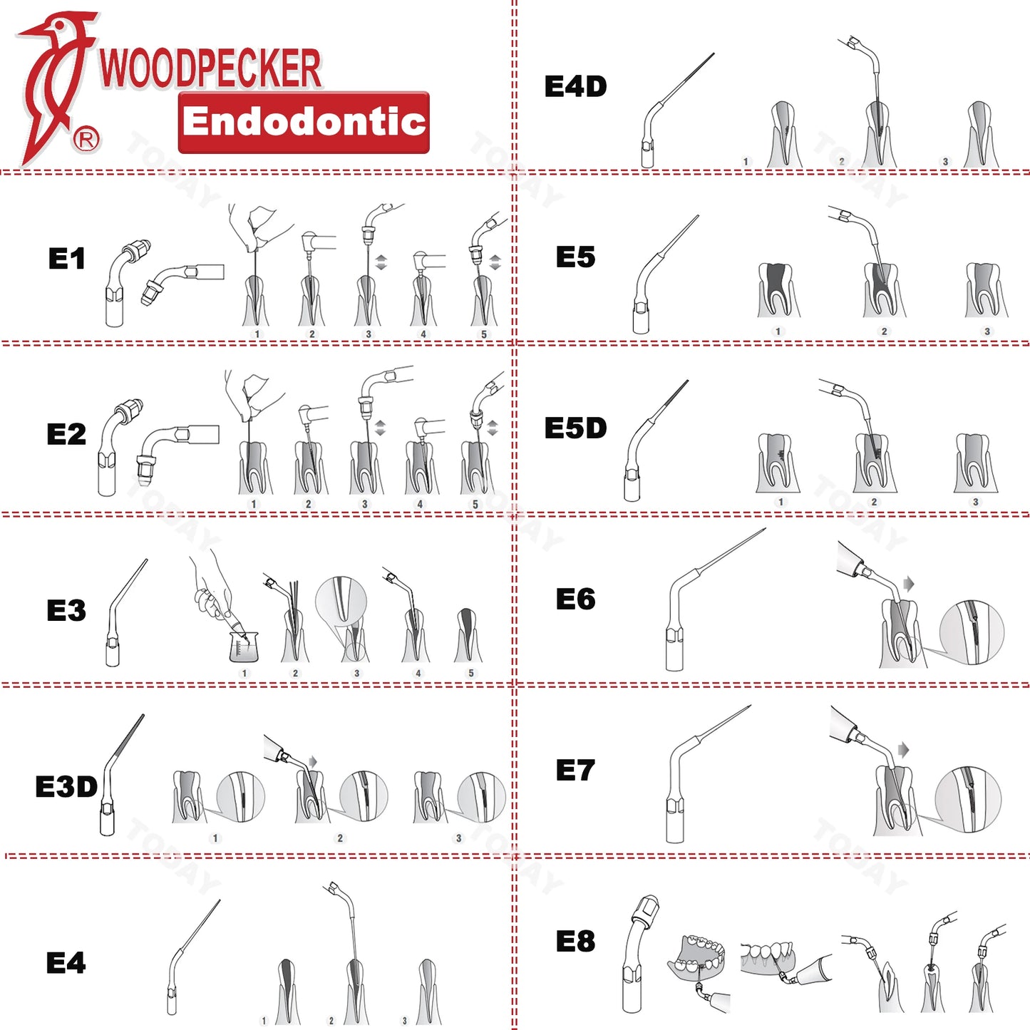 Dentistry Supplies & Equipment Woodpecker DTE Ultrasonic Scaler -  all available DTE Tips E series  shown on the picture