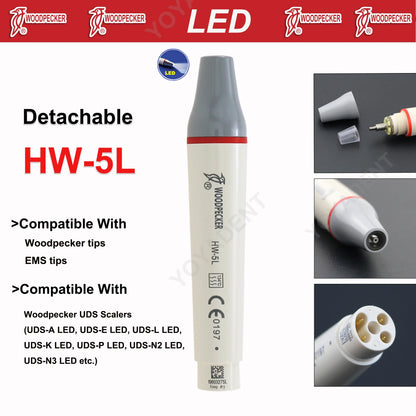 Dentistry Supplies & Equipment Woodpecker DTE Ultrasonic Scaler HW-L5 Offers