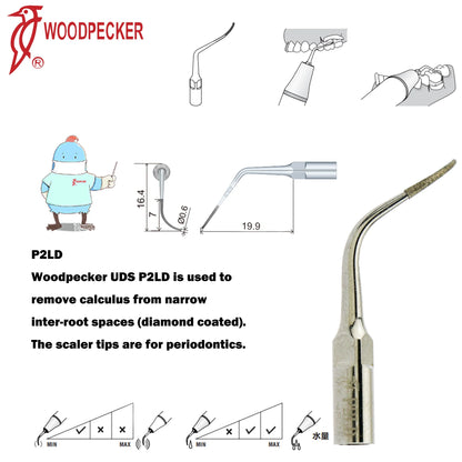 Dentistry Supplies & Equipment Woodpecker Ultrasonic Handpiece HW-5L Picture show Detail and sizes of P2LD Series