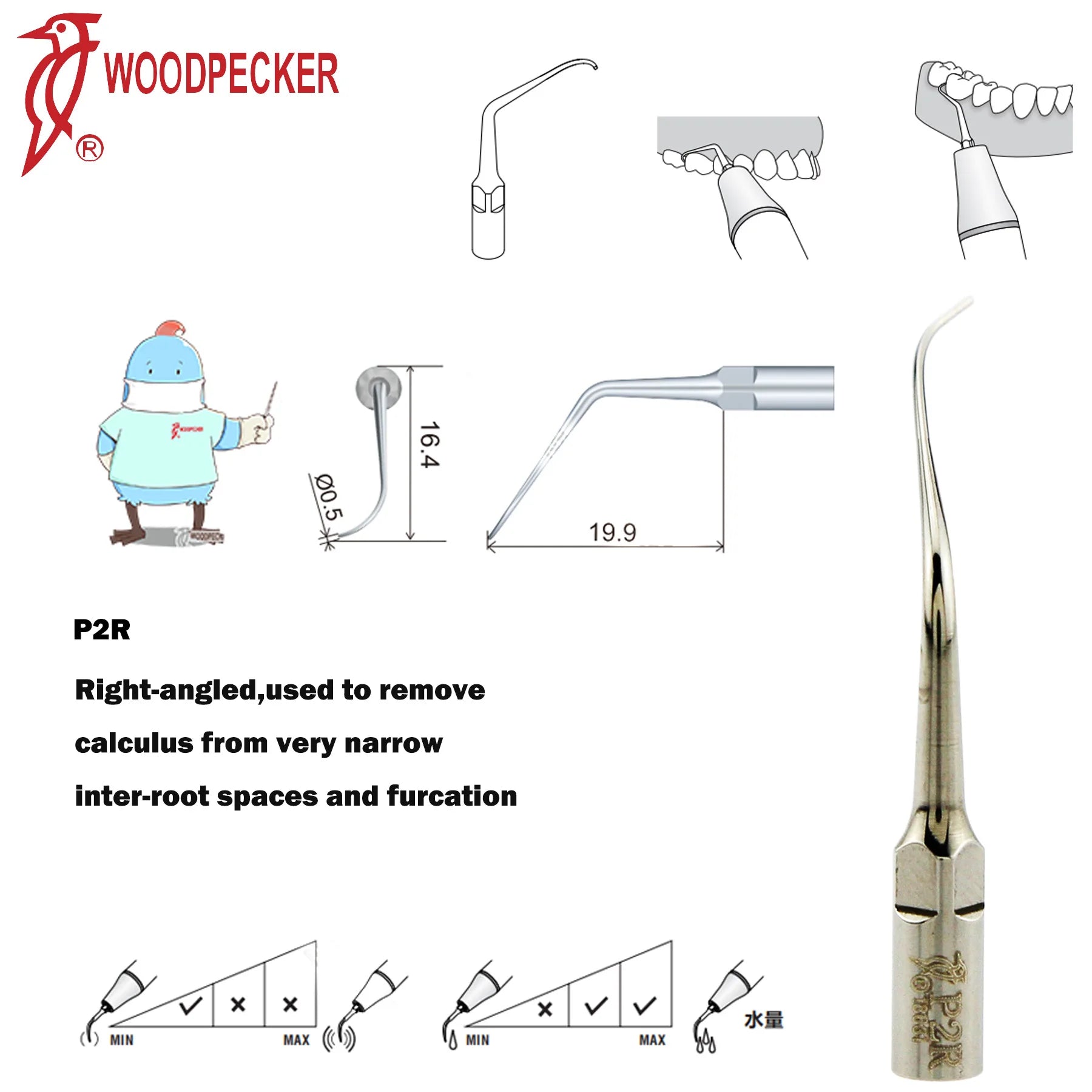 Dentistry Supplies & Equipment Woodpecker Ultrasonic Handpiece HW-5L Picture show Detail and sizes of P2R Series