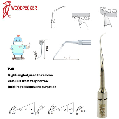 Dentistry Supplies & Equipment Woodpecker Ultrasonic Handpiece HW-5L Picture show Detail and sizes of P2R Series
