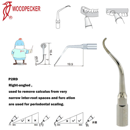 Dentistry Supplies & Equipment Woodpecker Ultrasonic Handpiece HW-5L Picture show Detail and sizes of P2RD Series