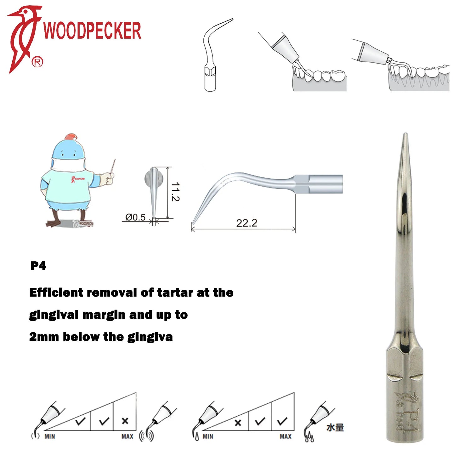 Dentistry Supplies & Equipment Woodpecker Ultrasonic Handpiece HW-5L Picture show Detail and sizes of P4 Series