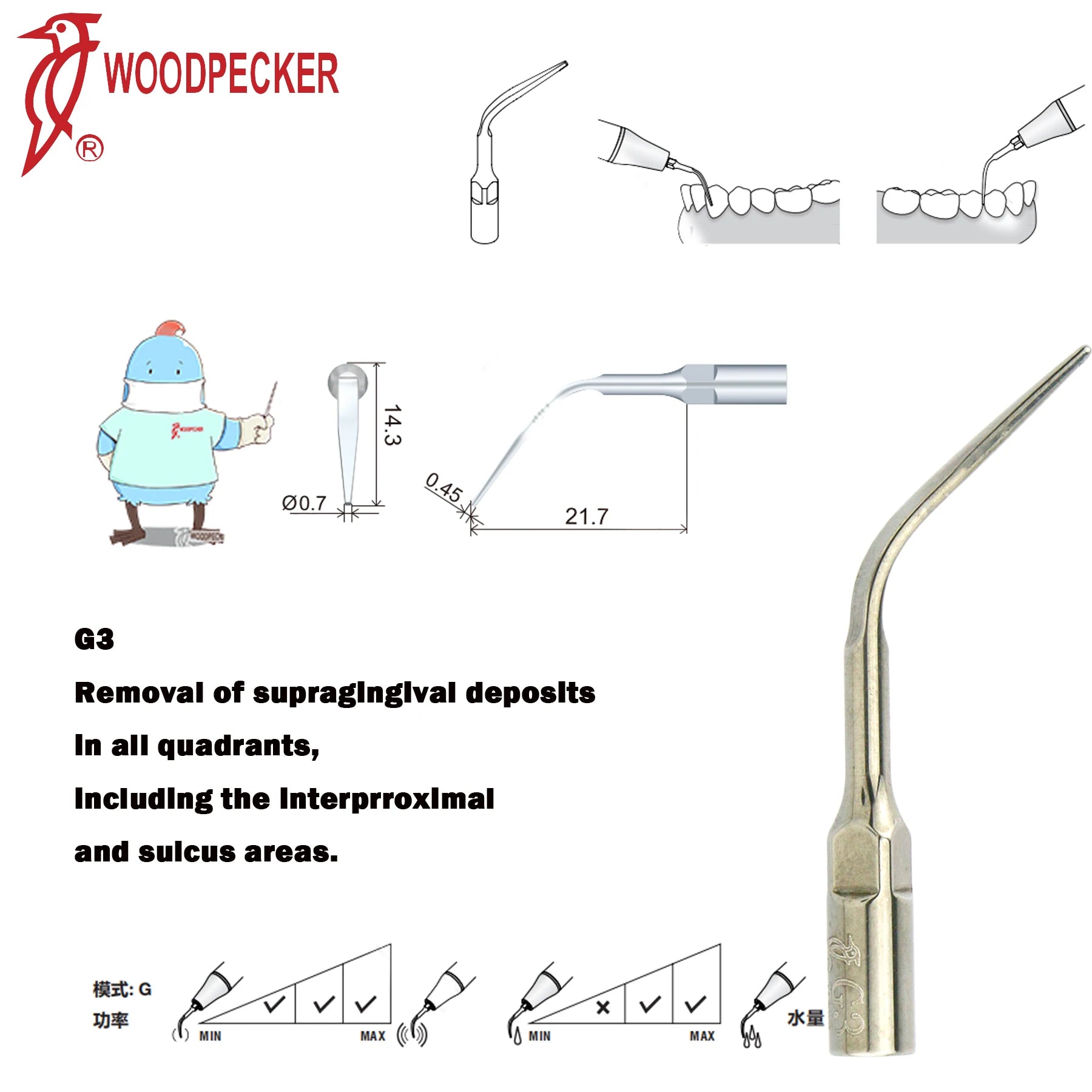 Dentistry Supplies & Equipment Woodpecker Ultrasonic Handpiece HW-5L Picture show Detail and sizes of G3 Series