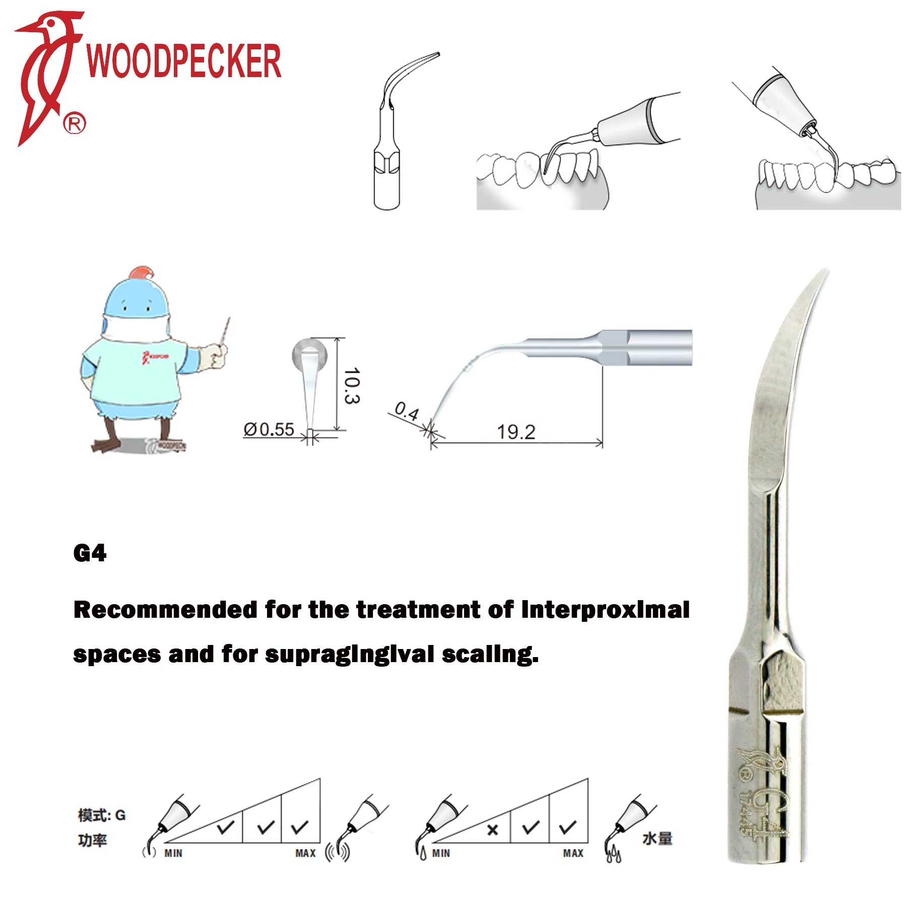 Dentistry Supplies & Equipment Woodpecker Ultrasonic Handpiece HW-5L Picture show Detail and sizes of  G4 Series