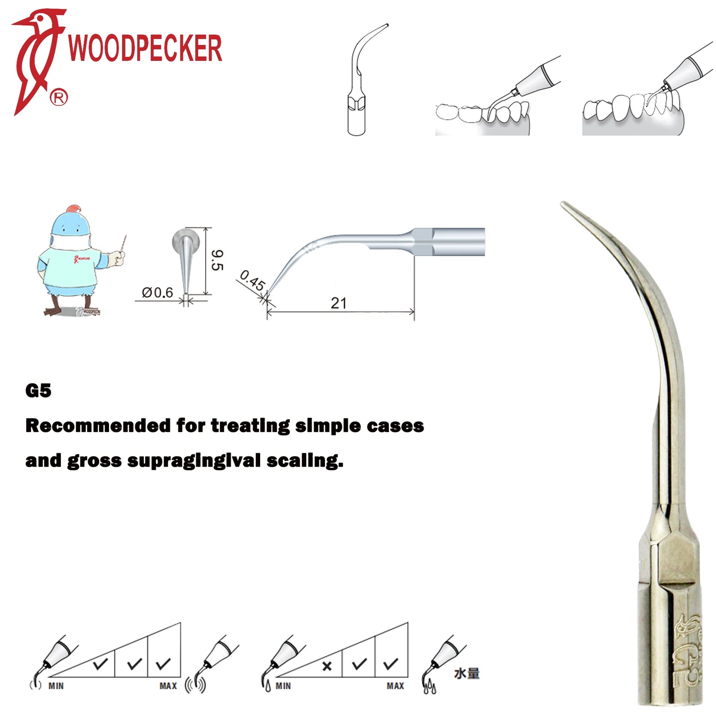 Dentistry Supplies & Equipment Woodpecker Ultrasonic Handpiece HW-5L Picture show Detail and sizes of G5 Series