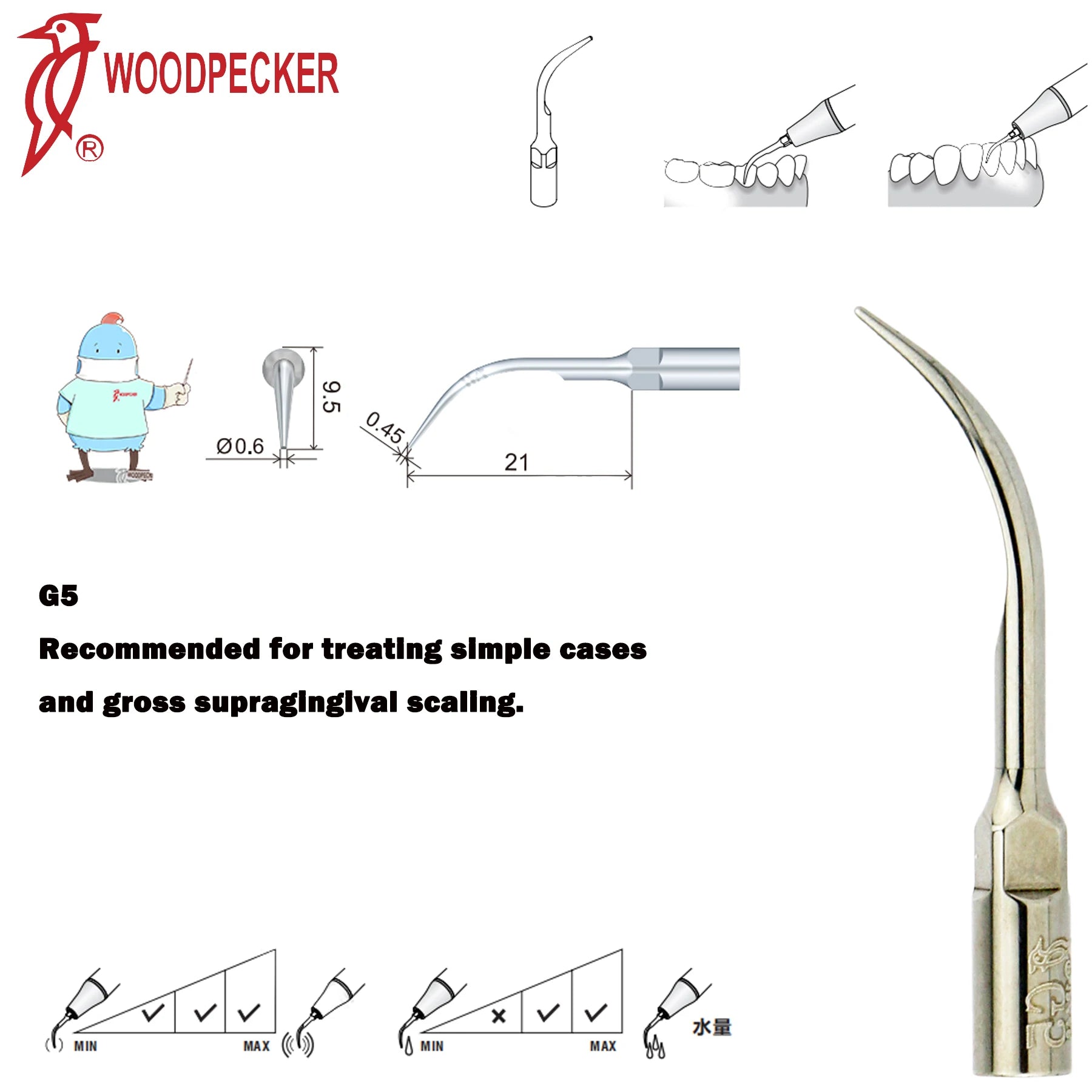 Dentistry Supplies & Equipment Woodpecker Ultrasonic Handpiece HW-5L Picture show Detail and sizes of G5 Series