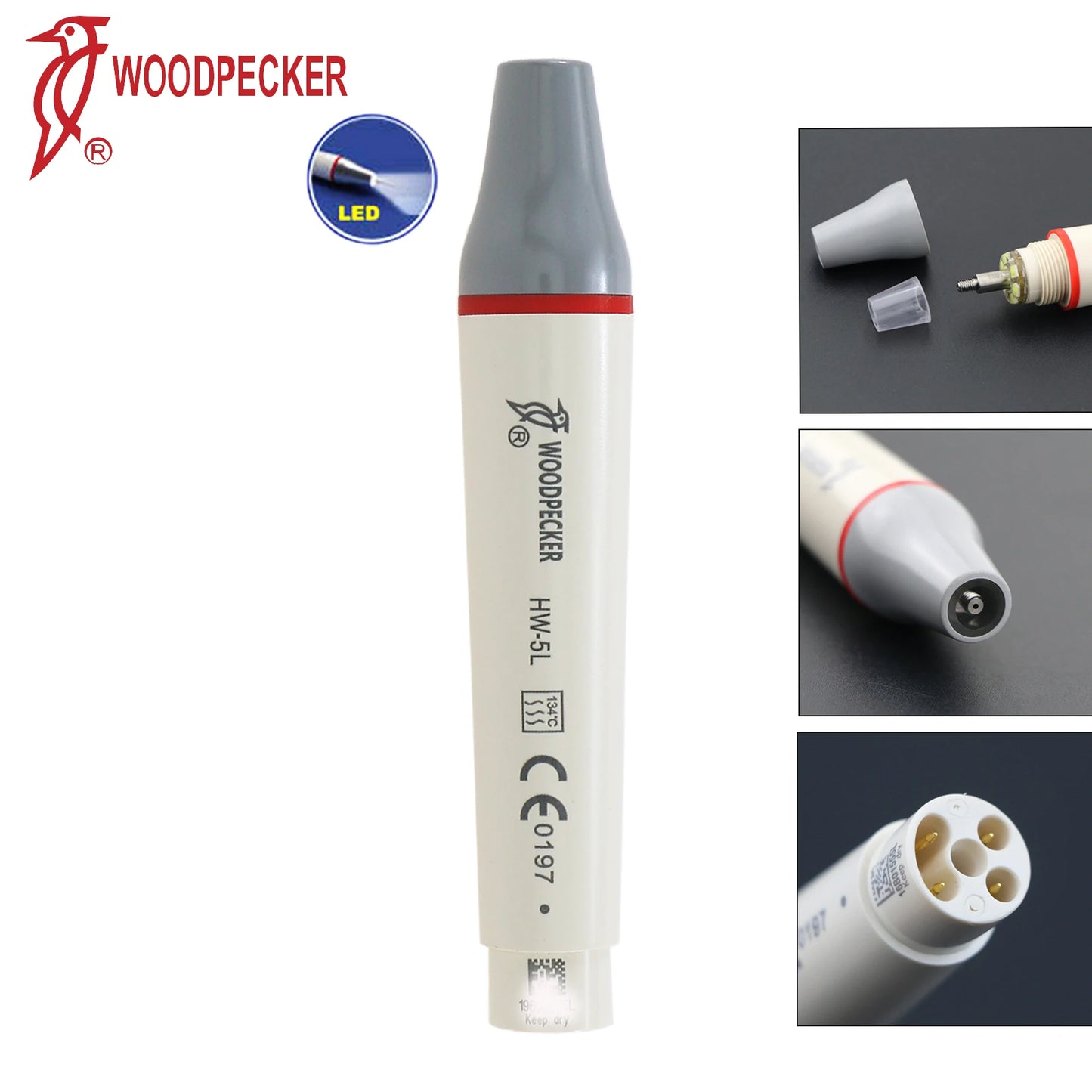 Dentistry Supplies & Equipment Woodpecker Ultrasonic Handpiece HW-5L Picture show motor Piece  Detail