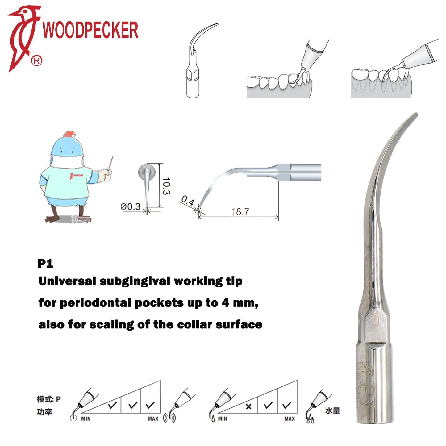 Dentistry Supplies & Equipment Woodpecker Ultrasonic Handpiece HW-5L Picture show Detail and sizes of P1 Series