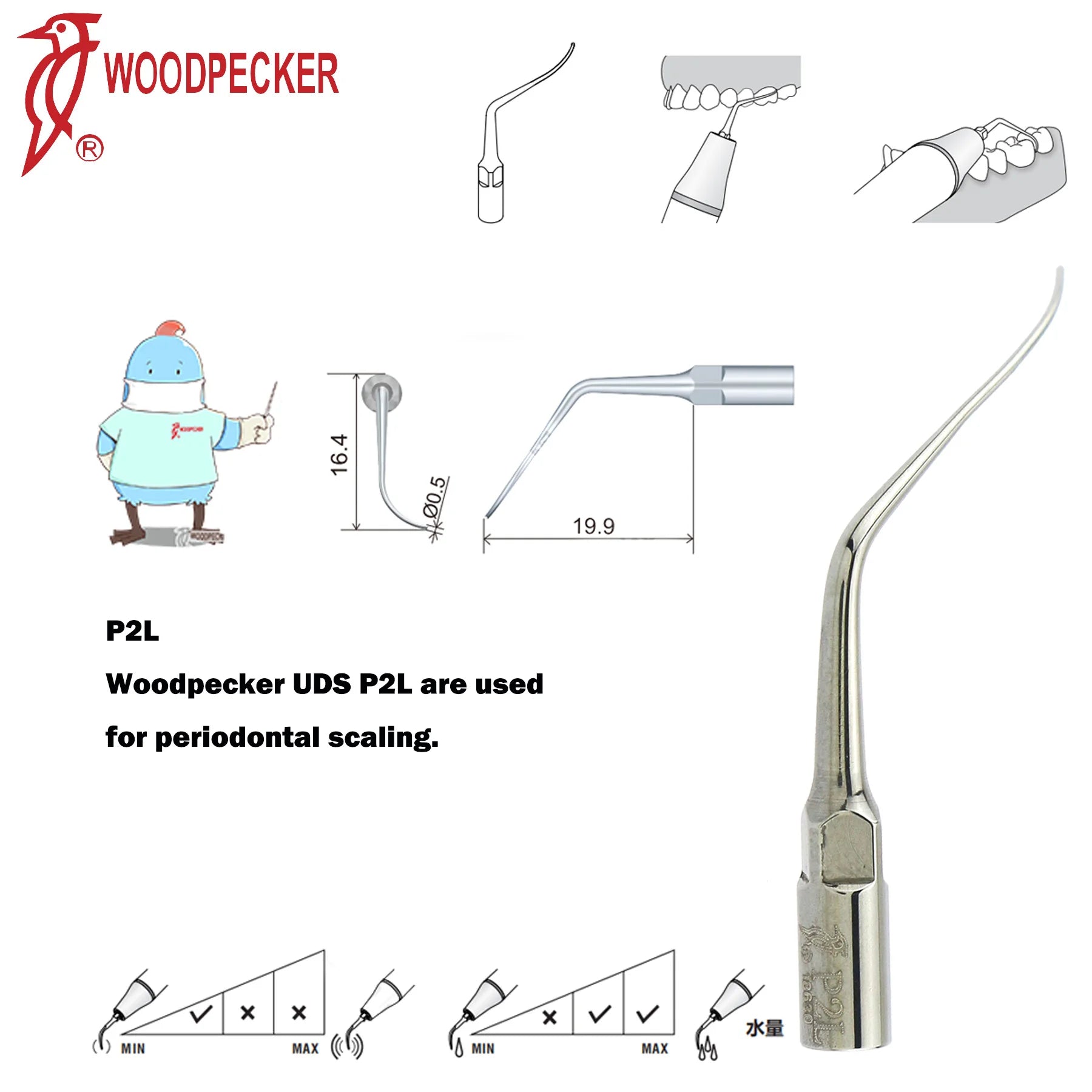 Dentistry Supplies & Equipment Woodpecker Ultrasonic Handpiece HW-5L Picture show Detail and sizes of P2L Series