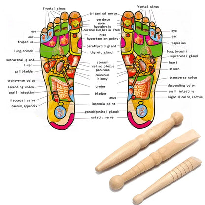 Massage Therapy Natural Wooden Foot Massage Stick (1 or 3 Pieces according to your choice) Picture of the 3 pieces offers shown with feeth massage diagram