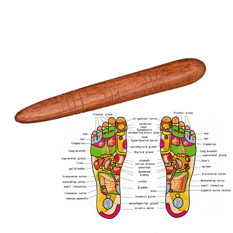 Massage Therapy Natural Wooden Foot Massage Stick (1 or 3 Pieces according to your choice) Picture of the 1 piece offers shown with feeth massage diagram