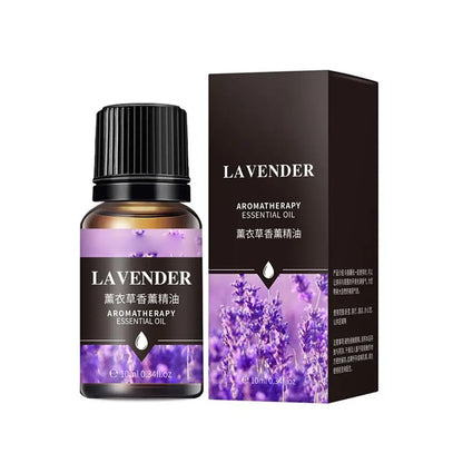 Massage Therapy Pure Natural Lavender Essential Oil - Multi-Use Body Massage Oil for Aromatherapy, Skin Care, & Stress Relief