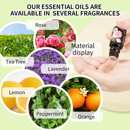 Massage Therapy Pure Natural Lavender Essential Oil - Multi-Use Body Massage Oil for Aromatherapy, Skin Care, & Stress Relief