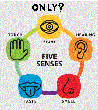 Personal Health Care 5 senses Diagram