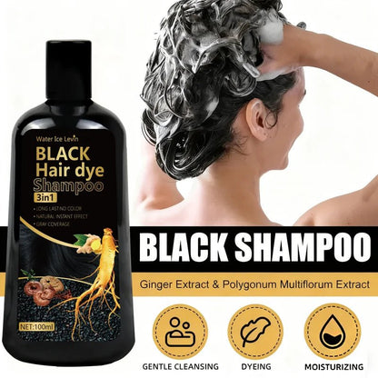 Personal Health Care Black Hair Dye Shampoo 3-in-1 with Ginger & Biotin - Long-Lasting Colour