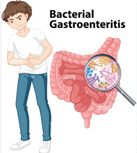 Personal Health Care, Diagram of gastroenteritis bacteria, Blog: How to relief from gastroenteritis