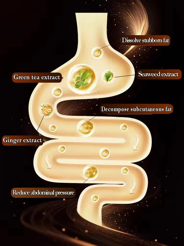 personal-health-care-green-tea-extract-ginger-extract-intestinal-effect-picture