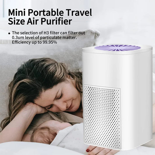 Wellness Air Purifier Filter and Ozone Generator Mini