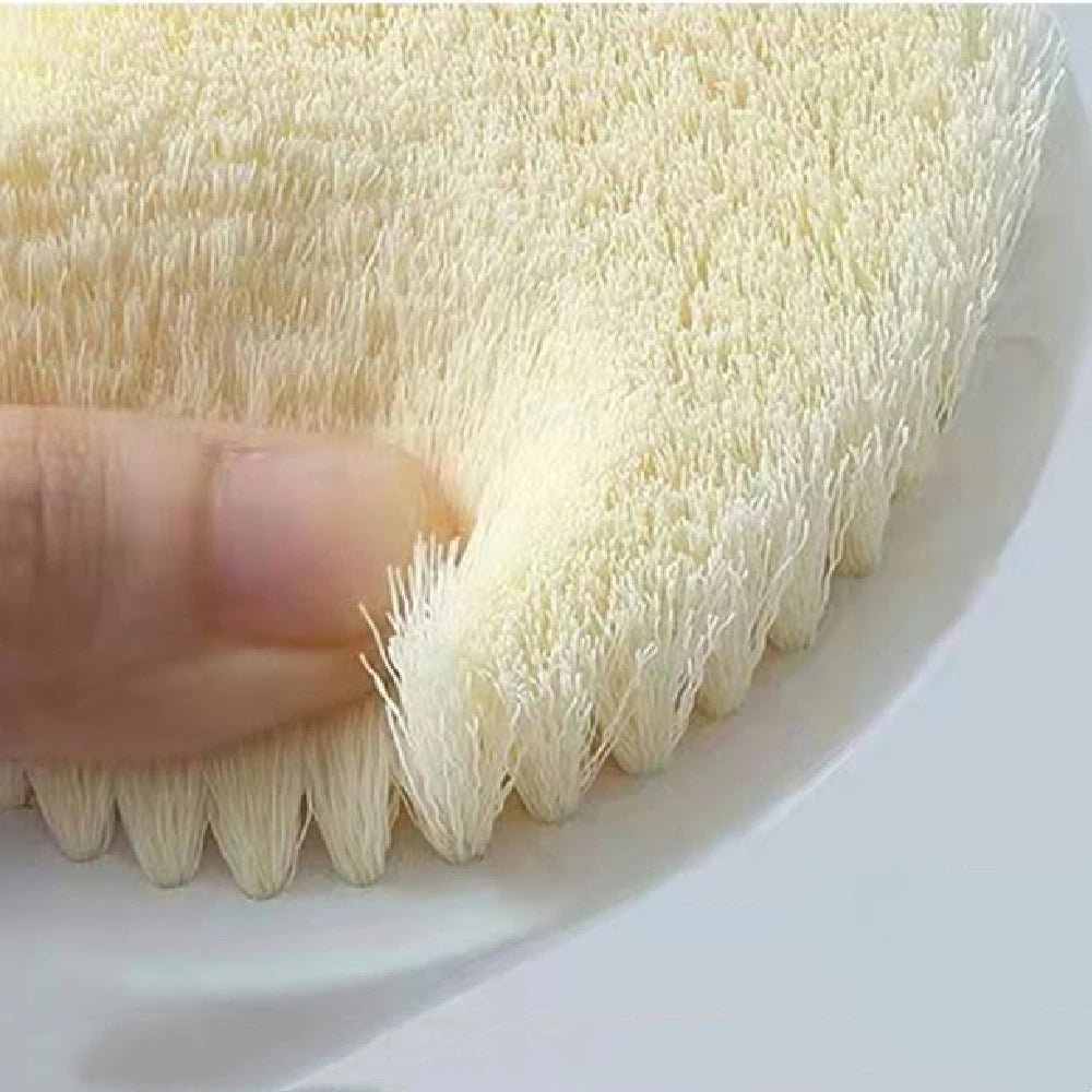 Wellness Long Shower Brush Back Massage