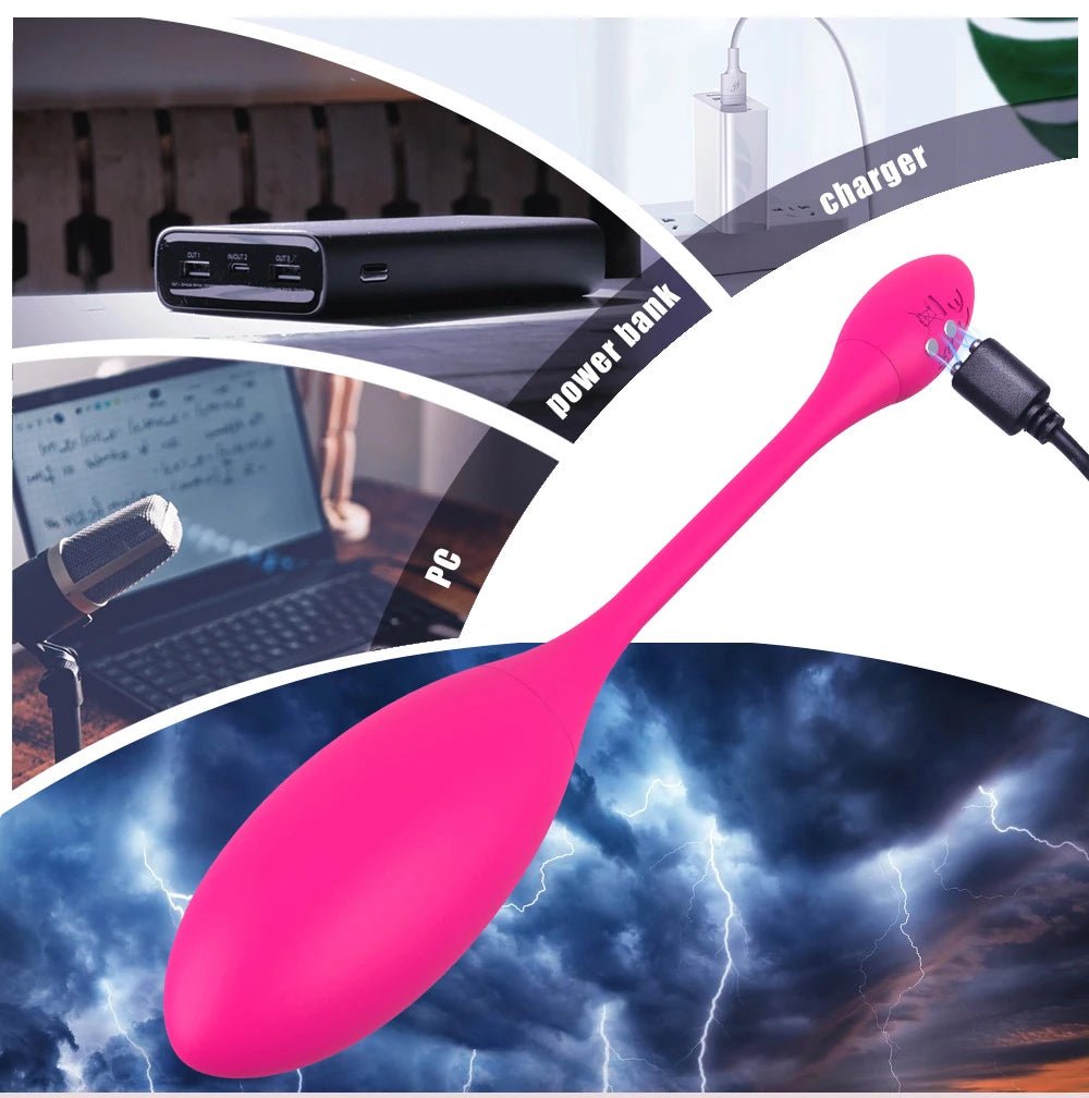 Wellness Sex Toys App Control Egg Vibrators For Women