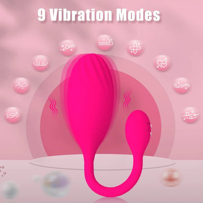 Wellness Sex Toys App Control Egg Vibrators For Women 9 modes